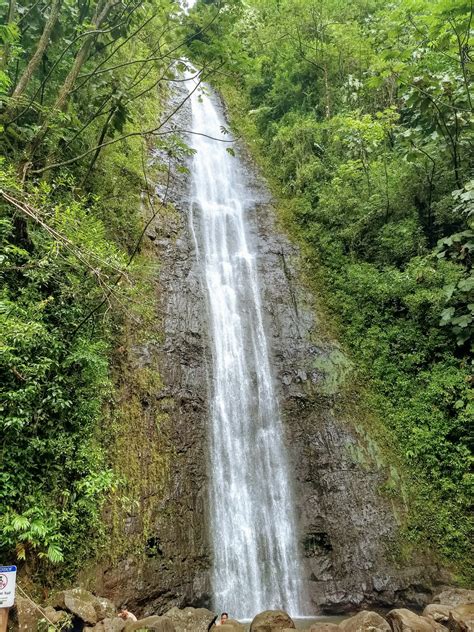 The Best Guide to Manoa Falls