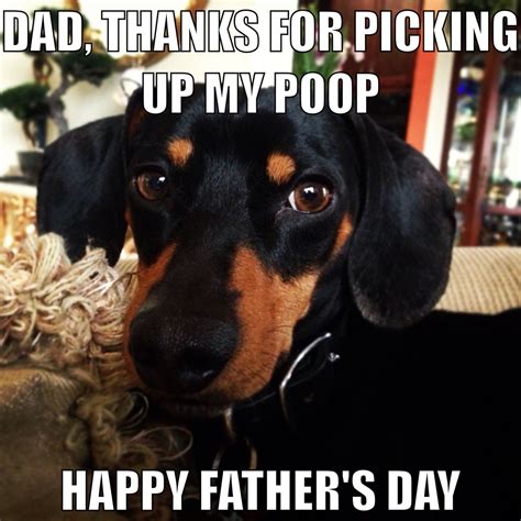 Dachshund Father's Day Card funny meme | Father's day memes, Funny dad ...