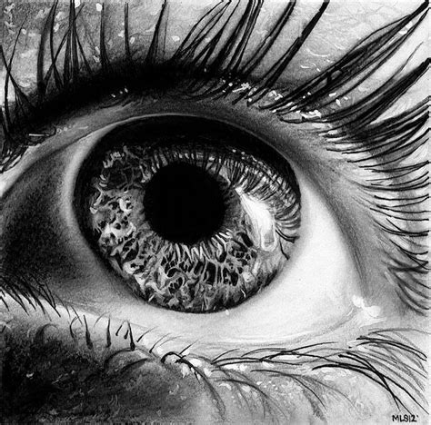 Pin by Cordelia Jean on Eye Candy | Realistic pencil drawings ...