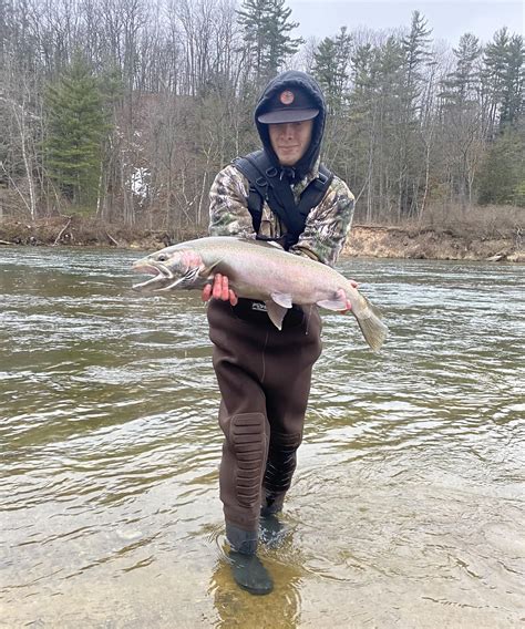 Steelhead : r/troutfishing