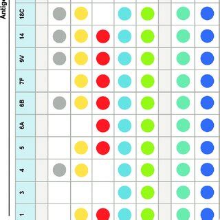 Current and investigational pneumococcal conjugate vaccines (not... | Download Scientific Diagram