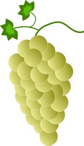671 wine grapes clip art free | Public domain vectors
