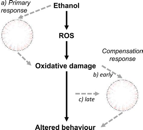 Potential origins of observed epigenetic and gene expression ...