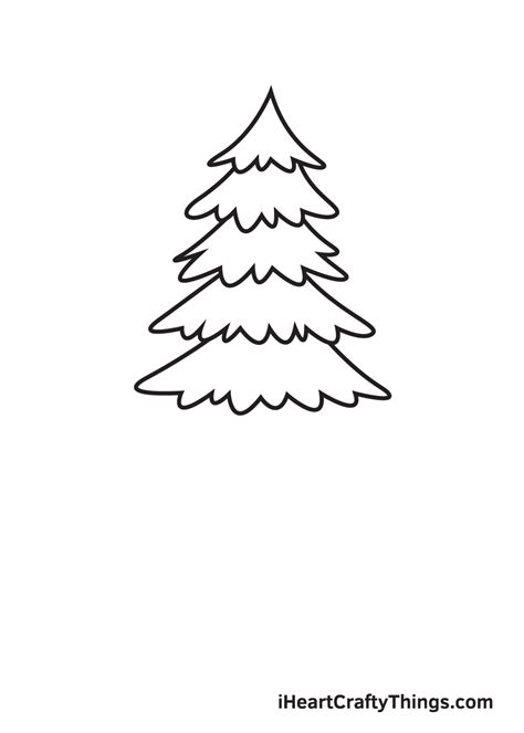 Evergreen Tree Illustration