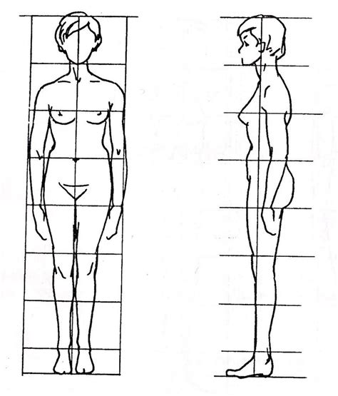 seven head body proportion - Google Search | Body proportions, Male sketch, Sketches