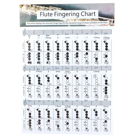 b flat major scale flute finger chart Flute notes chart with fingers