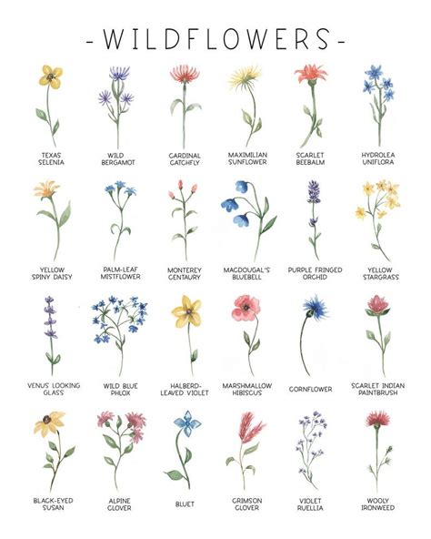 Wildflower Art Print Watercolor Flower Art Botanical Print - Etsy | Watercolor flower art, Tiny ...