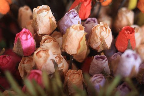 Fossilized flowers: A colorful look at Quirino’s export product | GMA News Online