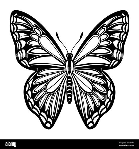 Butterfly, line art, no background-"Graceful Butterfly Line Art ...