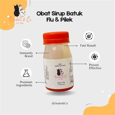 Jual Obat Flu Pilek Kucing Pilek Menahun | Obat Flu Berat Demam Pilek ...