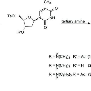 Scheme 1. Synthesis of quaternary ammonium salts from 5'-O− tosyl... | Download Scientific Diagram