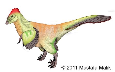 Balaur Pictures & Facts - The Dinosaur Database