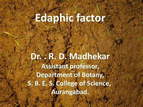 Edaphic Factor | PPT