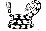 Timber Rattlesnake Coloring Page Pages sketch template