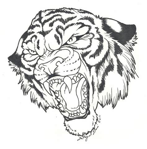 Tiger Roar Drawing at GetDrawings | Free download