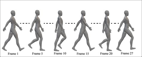 Illustration of the local mobility during a walk cycle. | Download Scientific Diagram