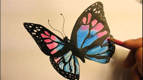 How to Draw a Butterfly|Easy|Step By Step|Wings|With Pencil|Pattern | Butterfly drawing, Wings ...