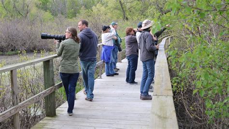 Black Swamp Bird Observatory gets $35,000 grant for education programs