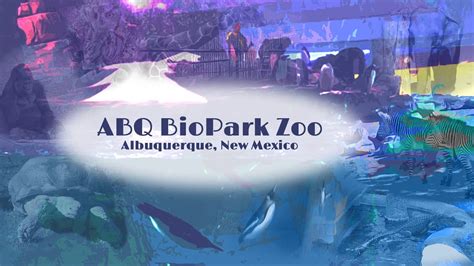 ABQ BioPark Zoo ~ Albuquerque, New Mexico - YouTube