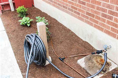 DIY Drip Irrigation System for Effortless Plant Watering