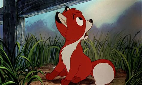 Image - Baby Fox.jpg | Disney Wiki | Fandom powered by Wikia