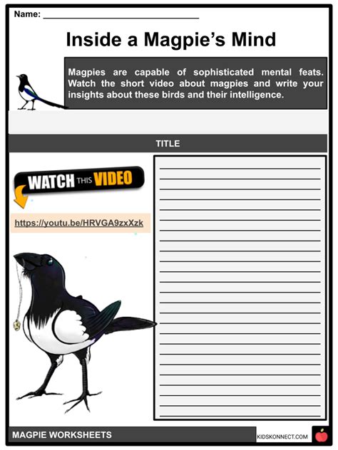 Magpie Diet, Breeding, Species, Facts and Worksheets for Kids