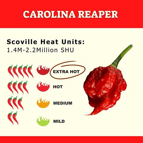 The Carolina Reaper Origin Story