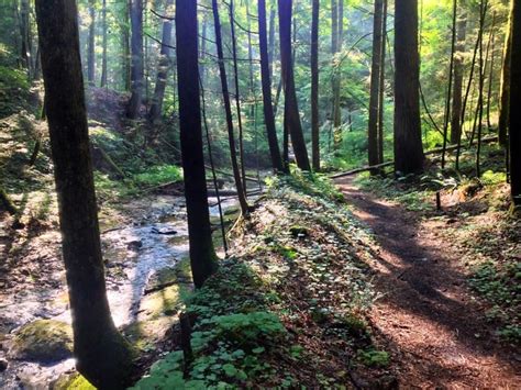 Top Ten Most Stunning Red River Gorge Hiking Trails