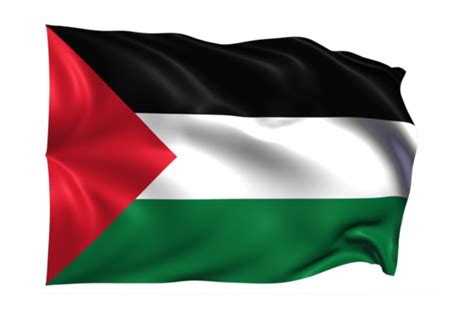 Palestine PNGs for Free Download