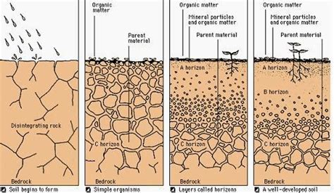 Weathering and Soil