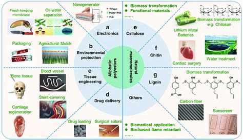 Applications of biodegradable materials. Snapshot of the main fields of ...