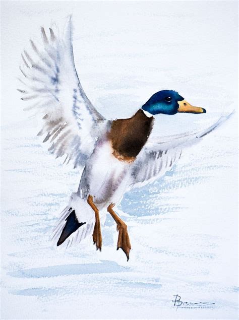 Flying bird art Duck painting Original Watercolor Widgeon illustration wall decor gift ...