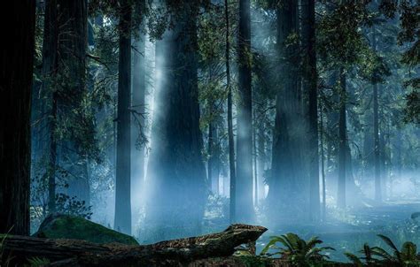 Endor Wallpapers - Top Free Endor Backgrounds - WallpaperAccess