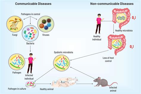 Non Communicable Diseases