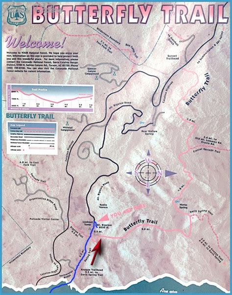 Mt Lemmon Hiking Trail Maps - TravelsFinders.Com