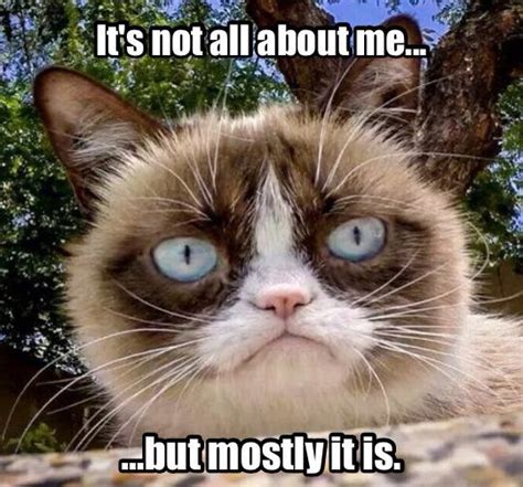 Grumpy Cat: It's not all about me...but mostly it is. #humor #cats # ...