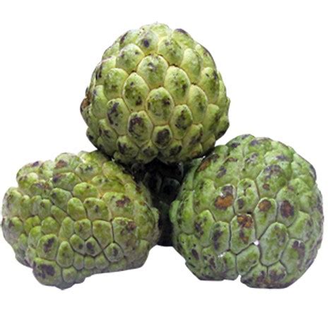 SITAFAL(CUSTARD APPLE) – Bombay Spices