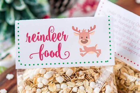 How To Make Homemade Reindeer Food | Easy, Affordable, Fun for kids