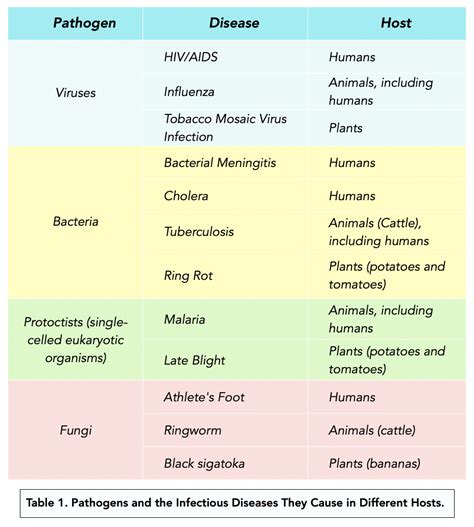 Human Diseases Caused By Bacteria