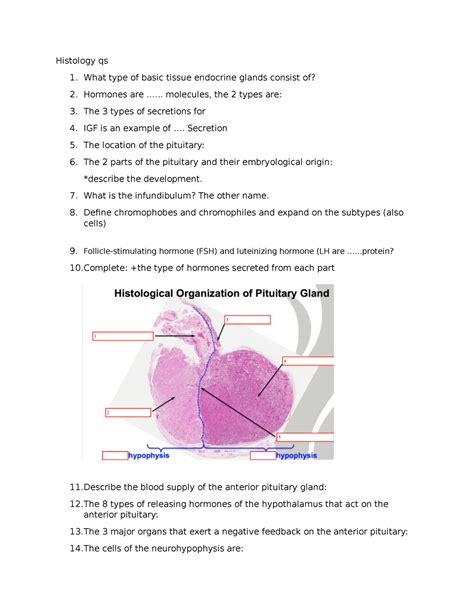 Histology qs - note - Histology qs 1. What type of basic tissue ...