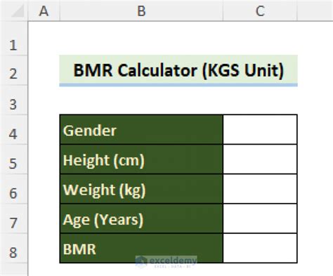 Metabolic Age Calculator in Excel (3 Applications)