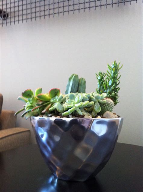 design dump: diy succulent arrangement