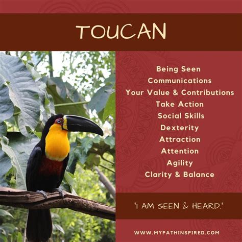 Toucan Symbolism | Animal symbolism, Meaningful art, Spiritual meaning