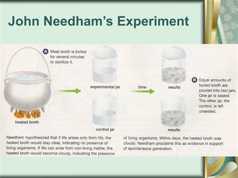 PPT - Development of the Cell Theory PowerPoint Presentation, free ...