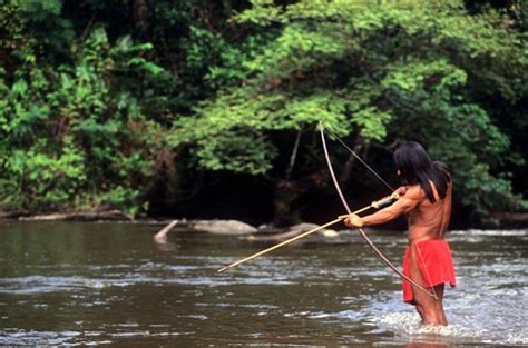 Vulnerability of indigenous tribes in Brazil - Al Jazeera Blogs | Rainforest people, Amazon ...