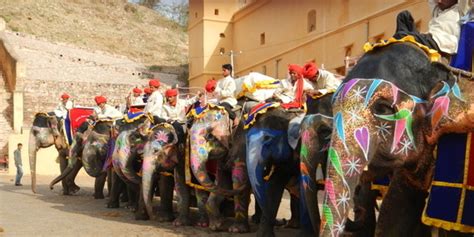 Elephant Ride in Jaipur | Amber Fort Elephant Ride Details