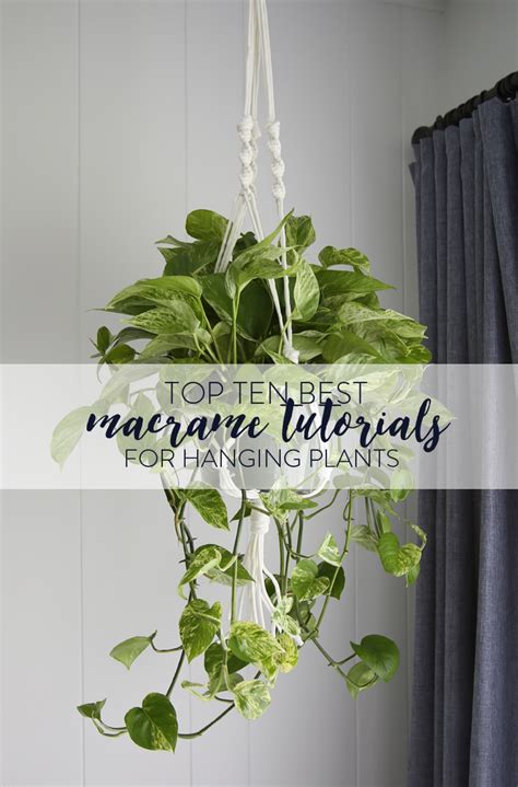 Top 10 Macrame Tutorials for Hanging Plants — Studio Quirk