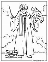 Harry Potter Chamber Of Secrets Coloring Pages sketch template