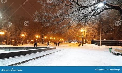 Winter Evening in Kharkiv Park - Ukraine Editorial Photography - Image of winter, lamp: 85236137