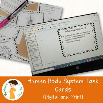 Human Body Systems Task Cards (Digital and PDF) by Science in the City